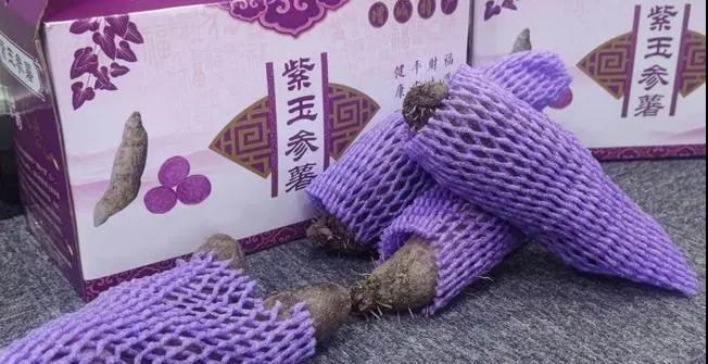康樂(lè)福紫署